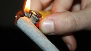 تقرير رسمي: اكثر من 800 الف مدمن حشيش في المغرب