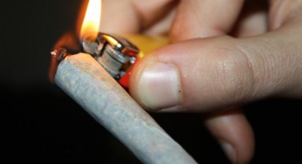 تقرير رسمي: اكثر من 800 الف مدمن حشيش في المغرب