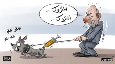 تبون وسعار المروك