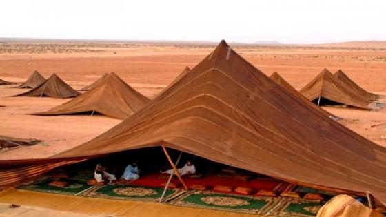 طانطان .. الخيمة الصحراوية من طانطان إلى العالم حرفة تأبى الإندثار