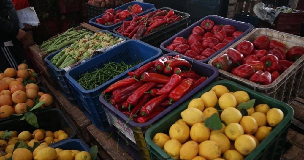 هذه هي نسب الزيادات في أثمان المواد الغذائية بمدن الشمال خلال شهر مارس حسب مندوبية التخطيط