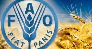 سلامة الغذاء.. اختيار المغرب لاستضافة مؤتمر “الفاو” لإفريقيا عام 2024