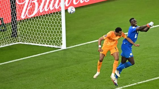 مونديال قطر 2022 .. المنتخب الهولندي يحقق انتصاره على حساب نظيره السينغالي في الدقائق الأخيرة