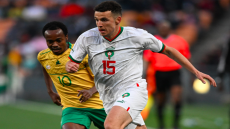 3 أسباب ساهمت في سقطة الأسود بجنوب إفريقيا