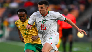 3 أسباب ساهمت في سقطة الأسود بجنوب إفريقيا