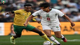 أتمنى أن تكون تجربتي مع الأسود بداية مغامرة رائعة