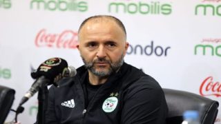 جمال بلماضي يعلق على هزيمة الأسود